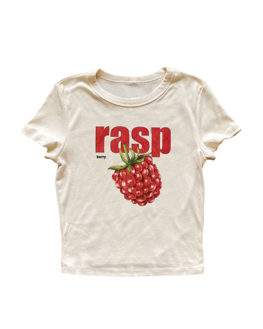 raspTシャツ L0545