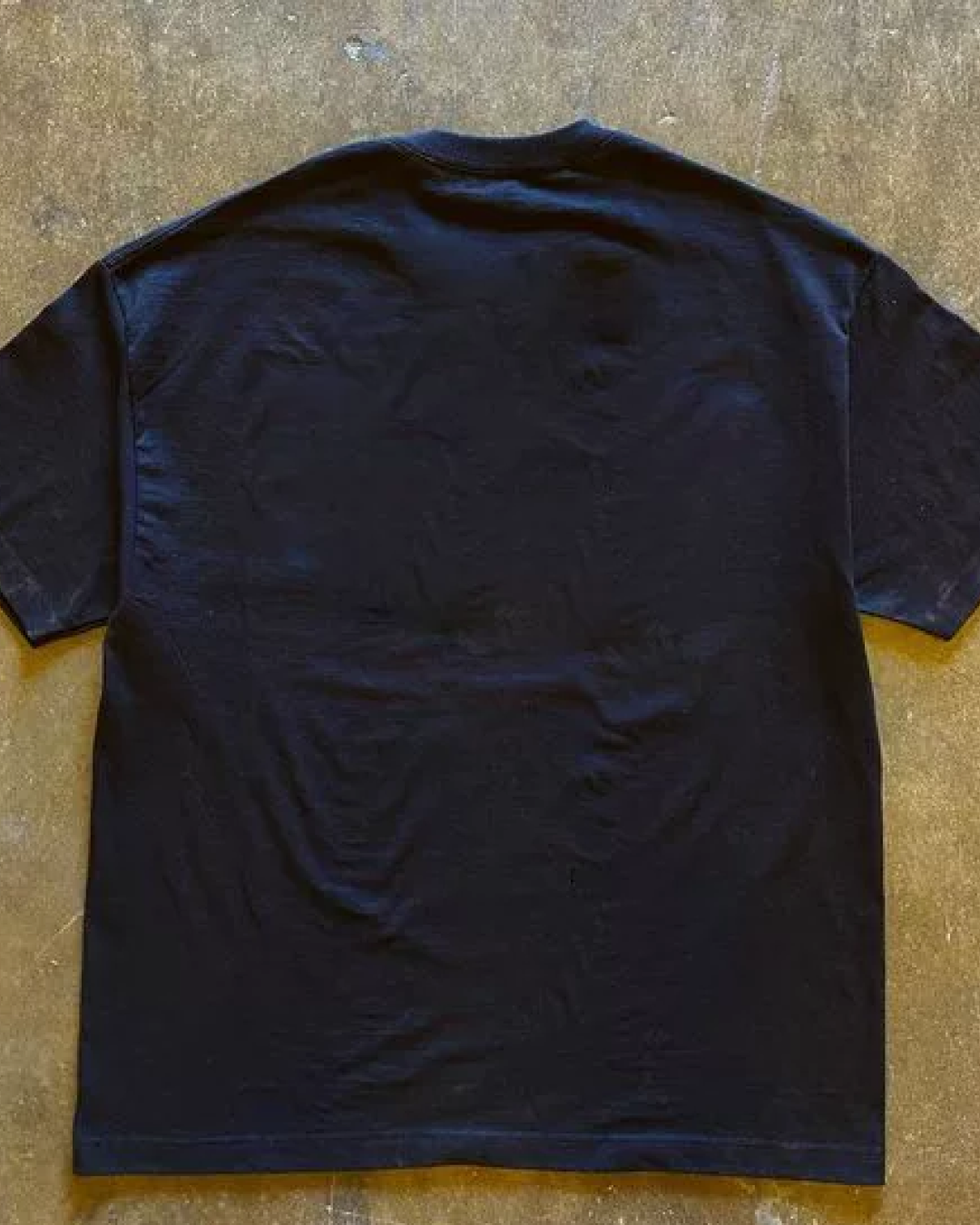 パストピクチャーTシャツ L0599