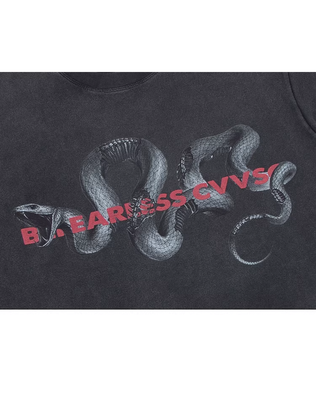 ウォッシュスネークレタリングプリントTシャツ　FM0007