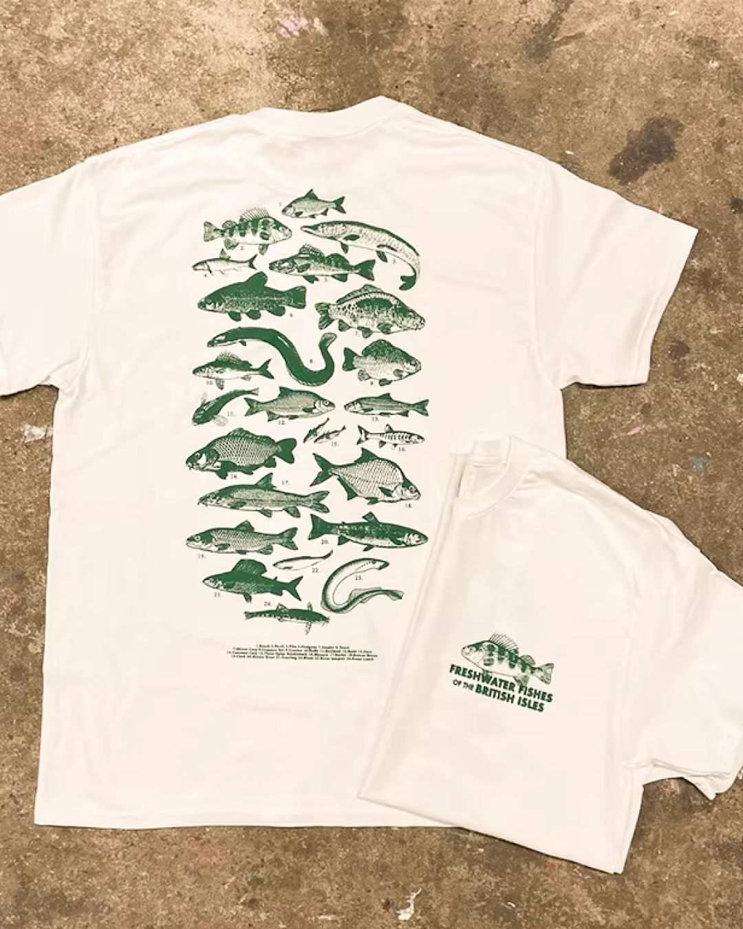 バックフィッシュプリントTシャツ L0330