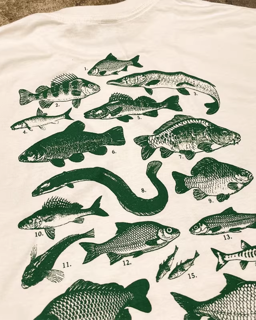 バックフィッシュプリントTシャツ L0330