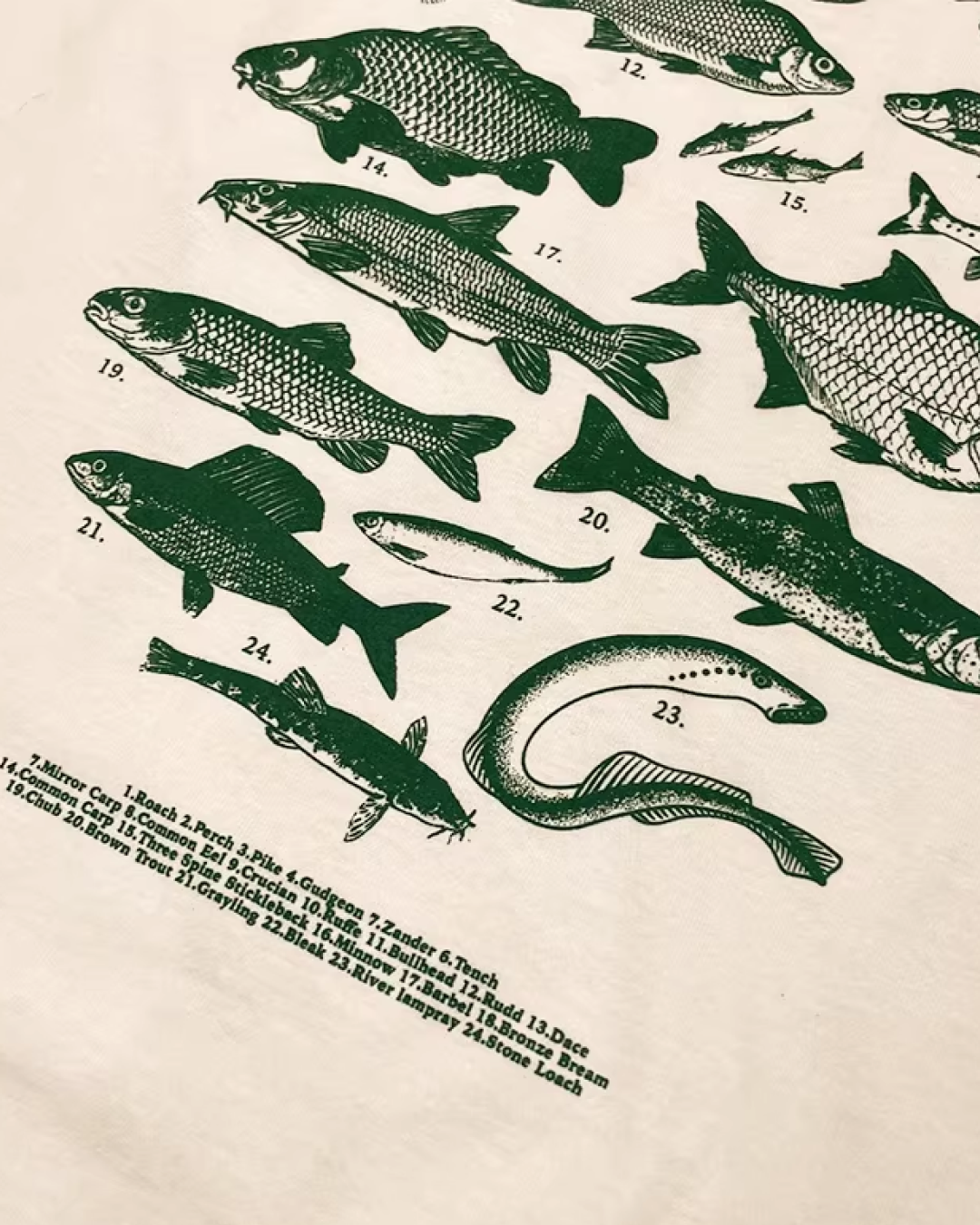 バックフィッシュプリントTシャツ L0330