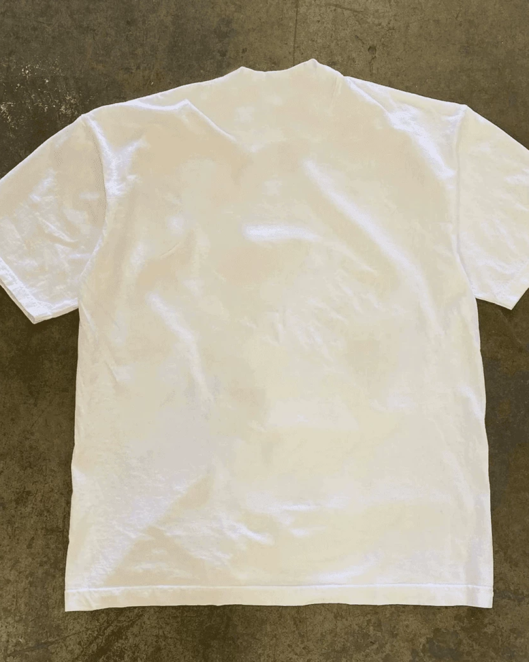 ネックスネークTシャツ L0340