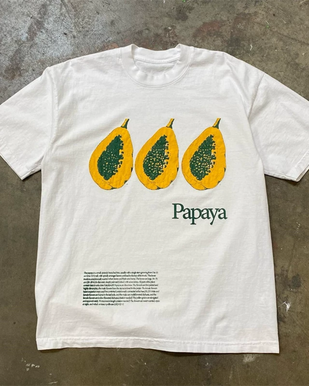 パパイアデザインTシャツ L0525