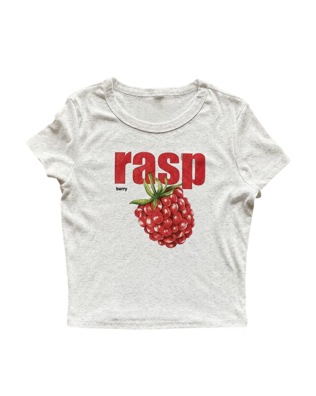 raspTシャツ L0545