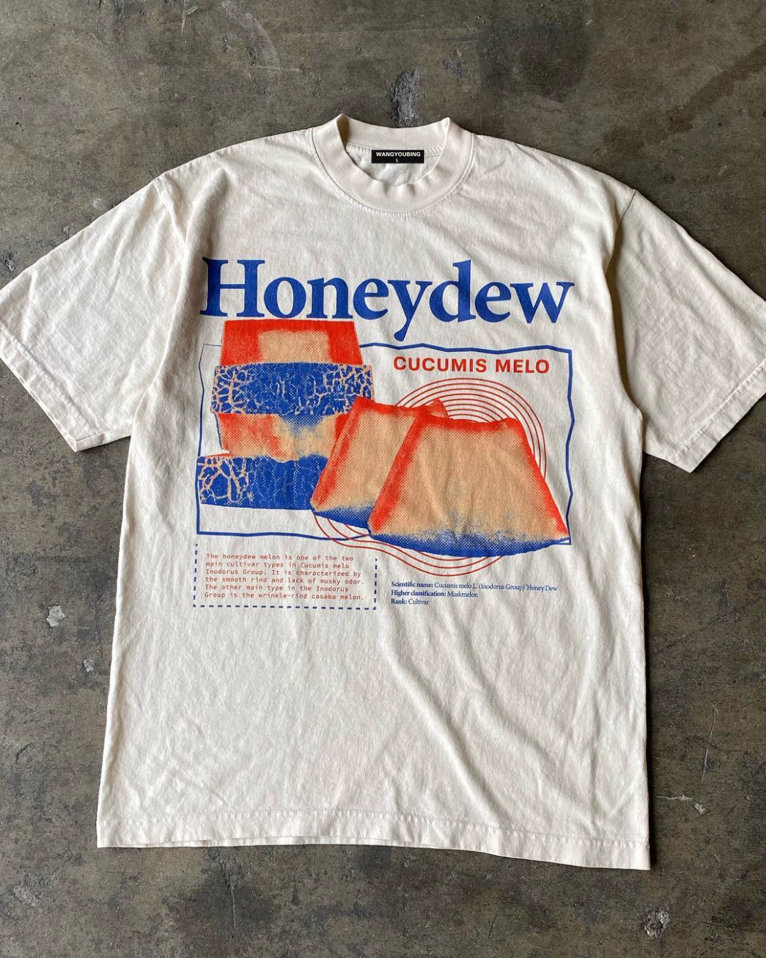 ハニーデューTシャツ L0603