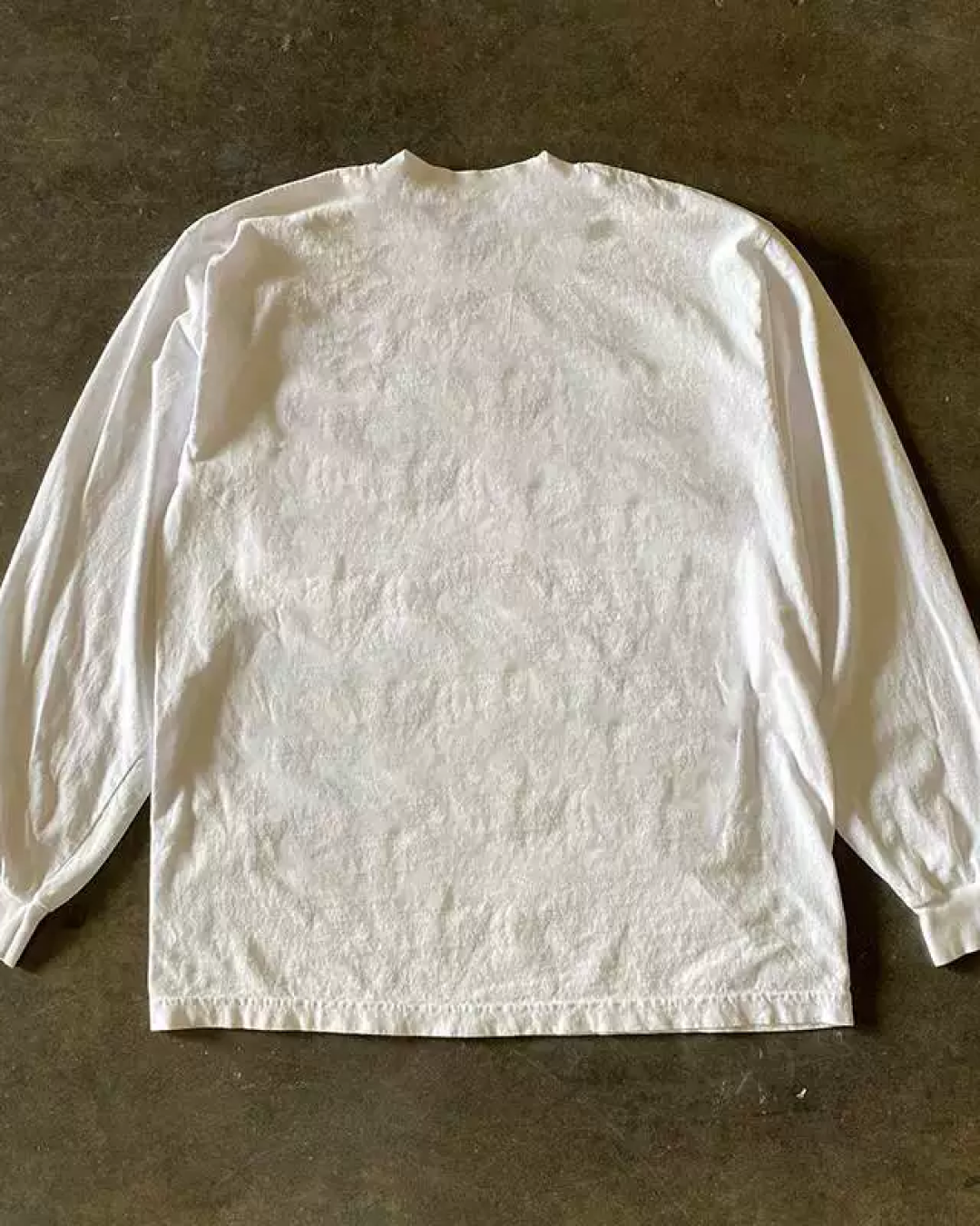 フィッシュデザインロンT　L0752